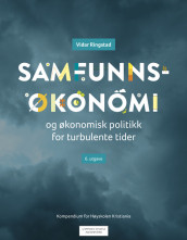 Samfunnsøkonomi og økonomisk politikk for turbulente tider av Vidar Ringstad (Ebok)
