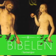 Bibelen i kortversjon (Nedlastbar lydbok)