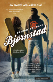 Bjørnstad av Fredrik Backman (Ebok)