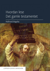 Hvordan lese Det gamle testamentet av Hallvard Hagelia (Heftet)