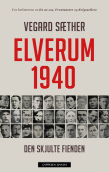 Elverum 1940 av Vegard Sæther (Ebok)