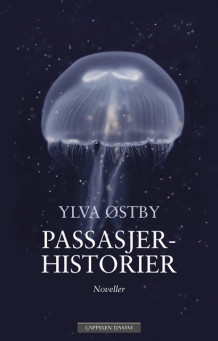 Passasjerhistorier av Ylva Berger (Ebok)