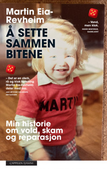 Å sette sammen bitene av Martin Revheim (Innbundet)