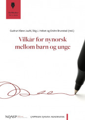 Vilkår for nynorsk mellom barn og unge av Endre Brunstad, Stig Jarle Helset og Gudrun Kløve Juuhl (Heftet)