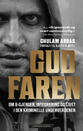 Gudfaren av Ghulam Abbas og Kjetil Stensvik Østli (Innbundet)