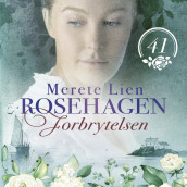 Forbrytelsen av Merete Lien (Nedlastbar lydbok)