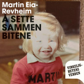 Å sette sammen bitene - Min historie om vold, skam og reparasjon av Martin Revheim (Nedlastbar lydbok)
