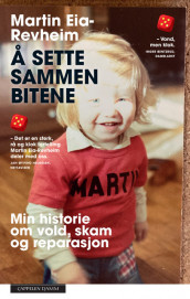 Å sette sammen bitene av Martin Revheim (Heftet)