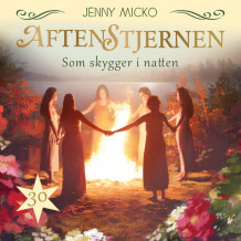 Som skygger i natten av Jenny Micko (Nedlastbar lydbok)