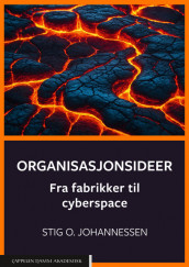 Organisasjonsideer av Stig Ole Johannessen (Heftet)