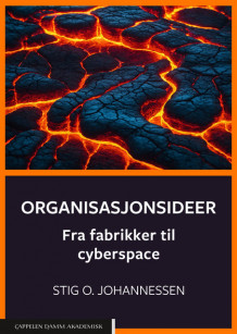 Organisasjonsideer av Stig Ole Johannessen (Heftet)