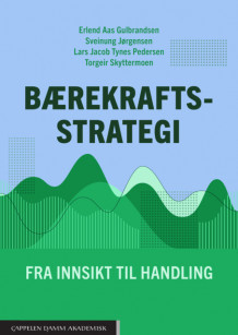 Bærekraftsstrategi av Erlend Aas Gulbrandsen, Sveinung Jørgensen, Lars Jacob Tynes Pedersen og Torgeir Skyttermoen (Heftet)