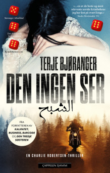 Den ingen ser av Terje Bjøranger (Ebok)