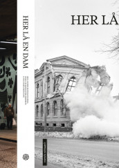 Her lå en dam (Ebok)