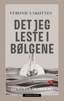 Det jeg leste i bølgene av Veronica Skotnes (Innbundet)