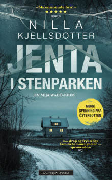 Jenta i Stenparken av Nilla Kjellsdotter (Heftet)