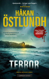 Terror av Håkan Östlundh (Heftet)