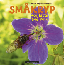 Småkryp for bitte små folk av Marit Røgeberg Ertzeid (Kartonert)