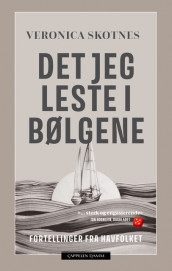 Det jeg leste i bølgene av Veronica Skotnes (Heftet)