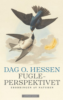 Fugleperspektivet av Dag O. Hessen (Innbundet)