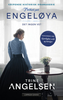 Det ingen vet av Trine Angelsen (Heftet)