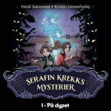 På dypet av Kristin Linnesholm og Heidi Sævareid (Nedlastbar lydbok)