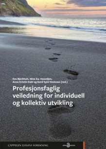 Profesjonsfaglig veiledning for individuell og kollektiv utvikling av Eva Bjerkholt, Nina Aagesen Vasseljen, Anne Kristin Dahl og Gerd Sylvi Steinnes (Heftet)