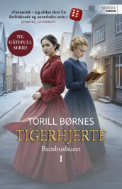 Bambusburet av Torill Karina Børnes (Heftet)