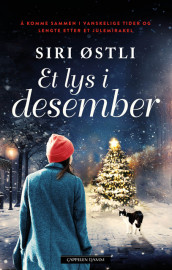 Et lys i desember av Siri Østli (Heftet)