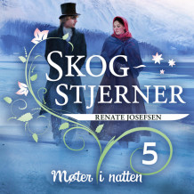 Møter i natten av Renate Josefsen (Nedlastbar lydbok)