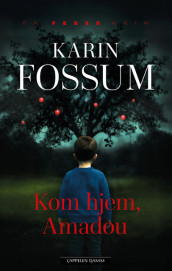 Kom hjem, Amadou av Karin Fossum (Ebok)