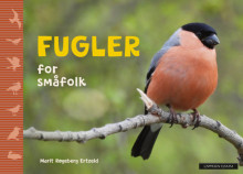Fugler for småfolk av Marit Røgeberg Ertzeid (Innbundet)