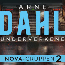 Underverkene av Arne Dahl (Nedlastbar lydbok)