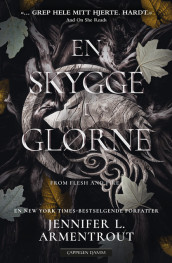 En skygge i glørne av Jennifer L. Armentrout (Heftet)