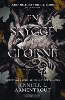 En skygge i glørne av Jennifer L. Armentrout (Heftet)