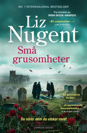 Små grusomheter av Liz Nugent (Ebok)
