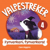 Fyrverkeri, fyrverkera! av Cam Higgins (Nedlastbar lydbok)