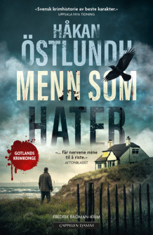 Menn som hater av Håkan Östlundh (Ebok)