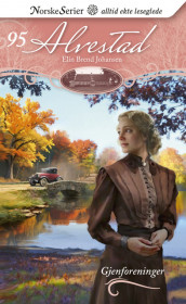 Gjenforeninger av Elin Brend Johansen (Ebok)