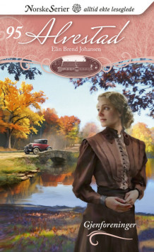 Gjenforeninger av Elin Brend Johansen (Ebok)