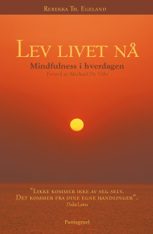 Lev livet nå av Rebekka Egeland (Innbundet)
