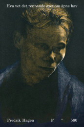 Hva vet det rennende øyet om åpne hav av Fredrik Hagen (Ebok)